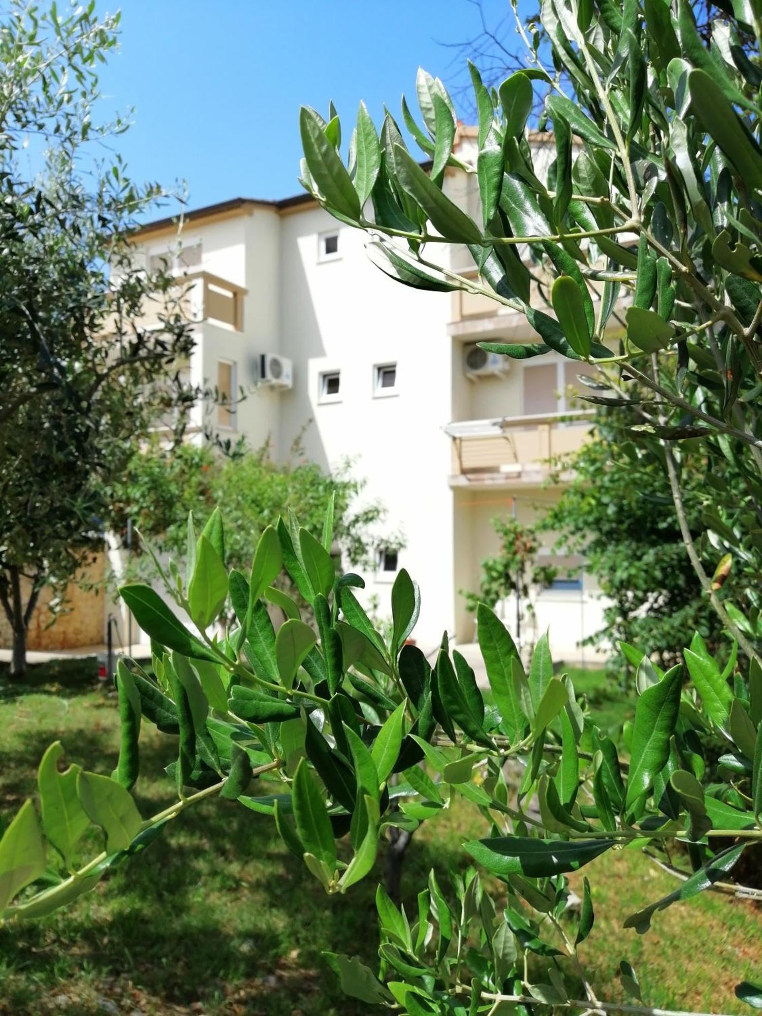 Apartments Monika Нін Екстер'єр фото