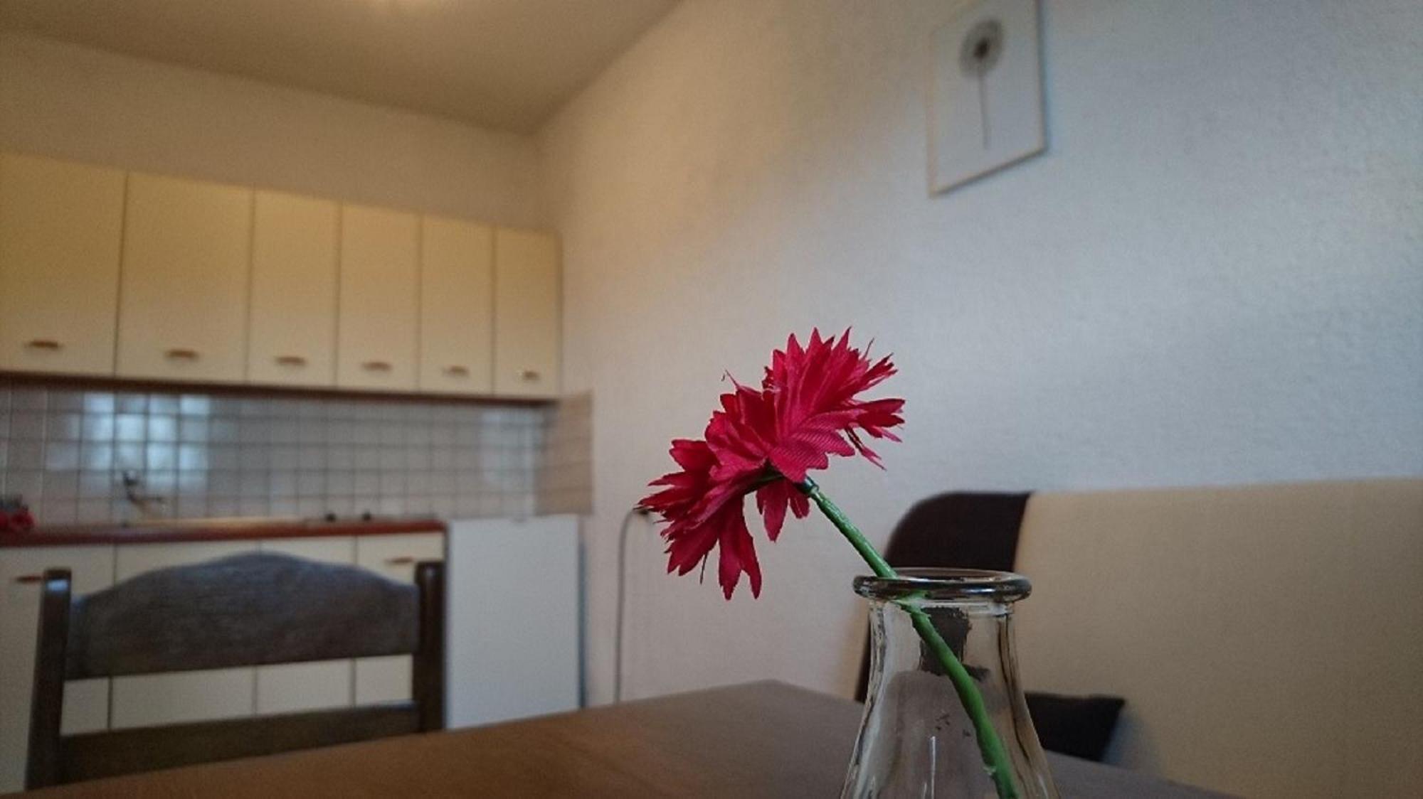 Apartments Monika Нін Екстер'єр фото